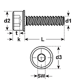 Viti di sicurezza I-6-Kt. INBUS-RIPP® ZN 100 