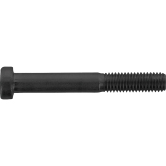 Viti a testa cilindrica I-6-rd ZN DIN 7984 8.8 